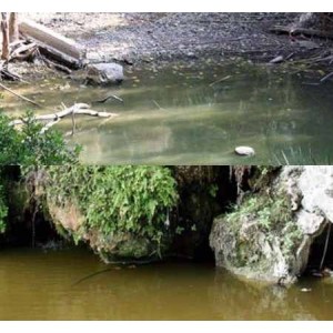 Aguas Tranquilas. Bote 200 ml. Marca Vallejo. Ref: 26230. 2