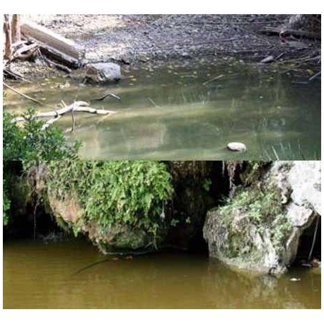 Aguas Tranquilas. Bote 200 ml. Marca Vallejo. Ref: 26230.