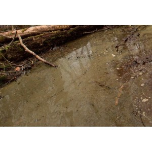 Producto weathering, gel verde para aguas pantanosas (water gel swamp green). Bote de 250 ml. Marca AK Interactive. Ref:  2