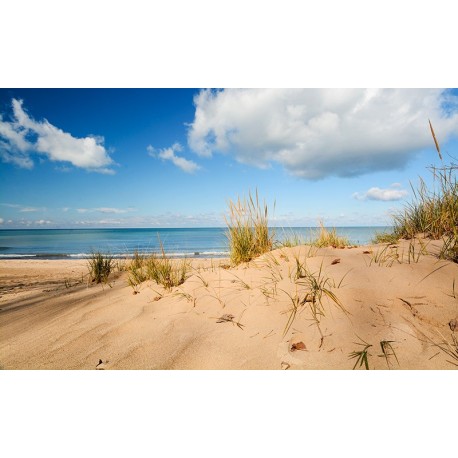 Producto weathering, Efecto arena de playa, ( Terrains beach sand). Bote de 250 ml. Marca AK Interactive. Ref: AK8019.