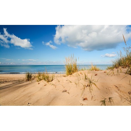 Producto weathering, Efecto arena de playa, ( Terrains beach sand). Bote de 250 ml. Marca AK Interactive. Ref: AK8019.