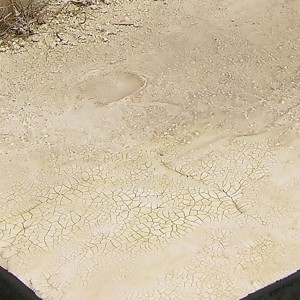 Producto weathering, Efecto de tierra clara, seca craquelada . Bote de 100 ml. Marca AK Interactive. Ref: AK8033. 2