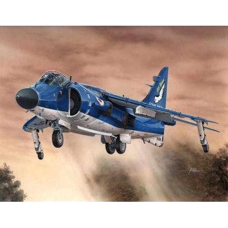 Sea Harrier FA.2.  Escala 1:72. Marca Special Hobby. Ref: 72154.