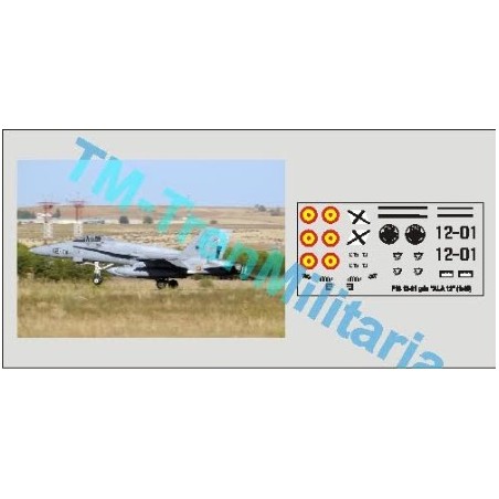 Calcas del F18 12-01, decoración "gris ALA 12". Escala 1:72. Marca Trenmilitaria. Ref: 000_4850.