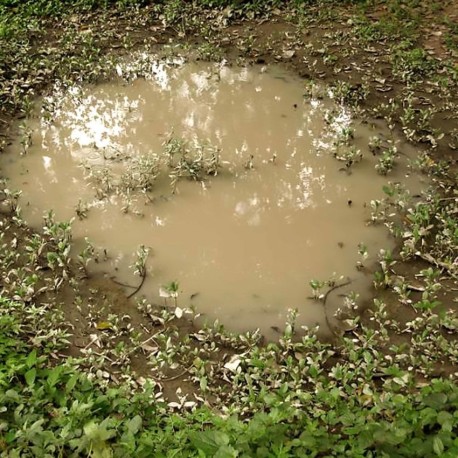 Producto weathering, Puddles, charcos. Bote de 60 ml. Marca AK Interactive. Ref: AK8028.