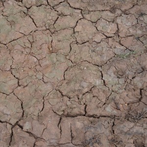 Producto weathering, Effect wet crackle, efecto craquelado húmedo. Bote de 100 ml. Marca AK Interactive. Ref: AK8034. 2
