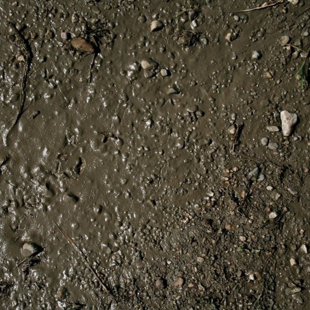 Terrains Wet ground, terreno mojado. Bote de 250 ml. Marca AK Interactive. Ref: AK8016.