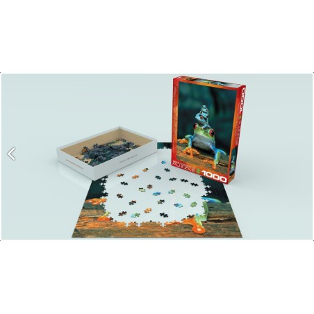 Red-Eyed Tree Frog. Puzzle vertical, 1000 pz. Marca Eurographics. Ref: 6000-3004.