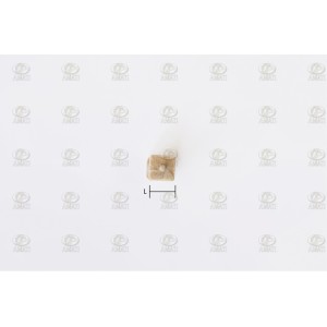 Columnas madera Boj 11 mm. 15 unidades. Marca Amati. Ref: 403011. 2
