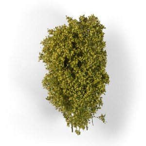 SPRING FILIGREE BUSHES. Adecuada 1:35. Marca AK Interactive. Ref: AK8236. 2