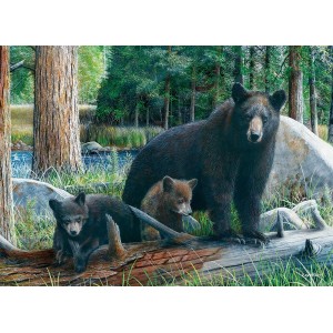 Puzzle Descubriendo la Vida, 1000 pz. Marca Eurographics. Ref: 6000-0793.