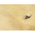 Producto weathering, Efecto arena del desierto, ( Terrains desert sand). Bote de 250 ml. Marca AK Interactive. Ref: AK8020.