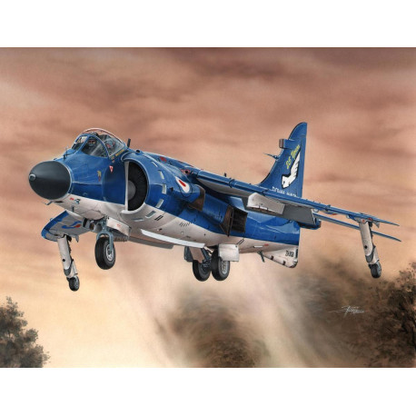 Sea Harrier FA.2. Escala 1:72. Marca Special Hobby. Ref: 72154.