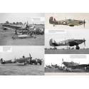 Libro de los colores reales de la WWII para aircraft. Marca AK Interactive. Ref: AK290.