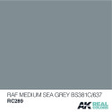 RC Air, RAF Medium Sea Grey BS381C/637. Cantidad 10 ml. Marca AK Interactive. Ref: RC289.
