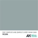 RC Air, RAF Camouflage (BARLEY) Grey BS381C/626. Cantidad 10 ml. Marca AK Interactive. Ref: RC299.