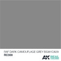 RC Air, RAF Dark Camouflage Grey BS381C/629. Cantidad 10 ml. Marca AK Interactive. Ref: RC300.