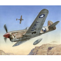 P-40 F Warhawk "Colas cortas sobre África". Escala 1:72. Marca Special Hobby. Ref: 72155.