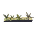 Jungle Plants A, Plantas Jungla A. Escala 1:35. Marca Matho. Ref: 35077.