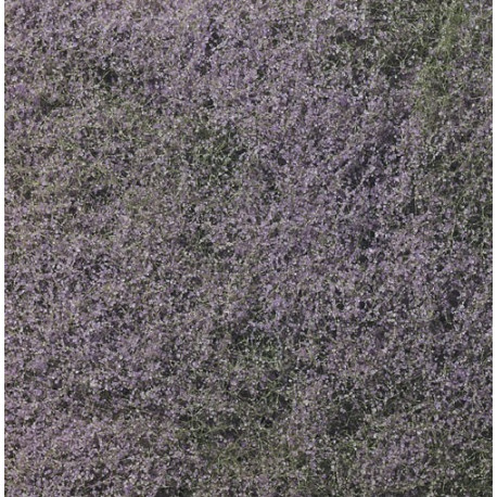 Follaje de floración en color purpura, Ref: F177.