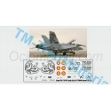 Calcas del Avión Caza F18 "15-70", decoración "gris ALA 15 "75000 horas"". Escala 1:72. Marca Trenmilitaria. Ref: 000_9159.