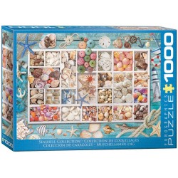 Puzzle Colección Seashell, colección de conchas, 1000 pz. Marca Eurographics. Ref: 6000-5529.