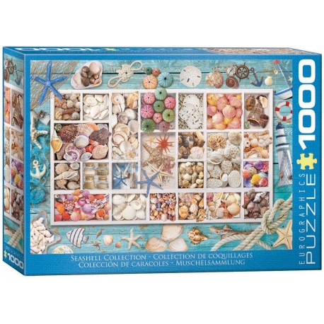Puzzle Colección Seashell, colección de conchas, 1000 pz. Marca Eurographics. Ref: 6000-5529.
