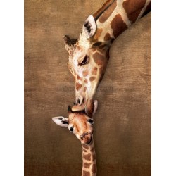 Puzzle Giraffe Mother's Kiss, 500 pz. Marca Eurographics. Ref: 6500-0301.