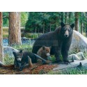 Puzzle Descubriendo la Vida, 1000 pz. Marca Eurographics. Ref: 6000-0793.