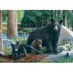 Puzzle Descubriendo la Vida, 1000 pz. Marca Eurographics. Ref: 6000-0793.