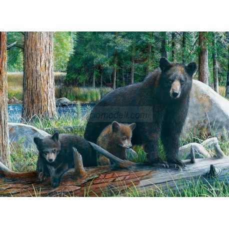 Puzzle Descubriendo la Vida, 1000 pz. Marca Eurographics. Ref: 6000-0793.