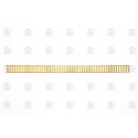 CENEFA DE LATON ( D ) de 15 x 250 mm. 1ud. Marca Amati. Ref: 5500/04.