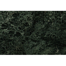 Liquen natural, musgo verde oscuro, Ref: L164