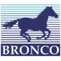 Bronco Models